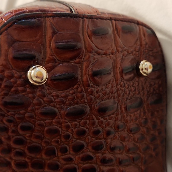 Brahmin Mini Asher - Picture 7 of 16